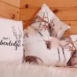 Апартаменты Eberl's Zirbenlodge Гинцлинг
