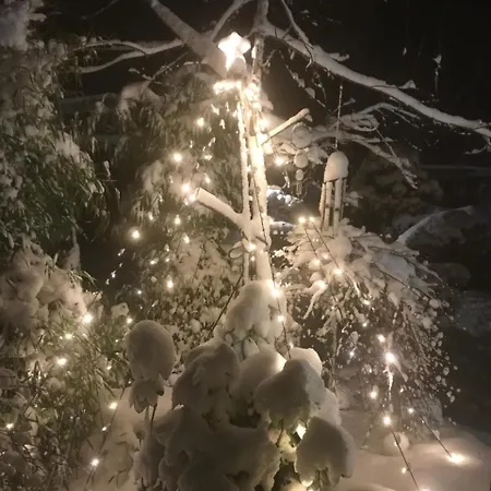 Appartement Eberl's Zirbenlodge Ginzling