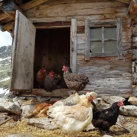 Eberl's Zirbenlodge