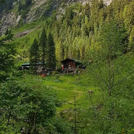 Apartment Eberl's Zirbenlodge *