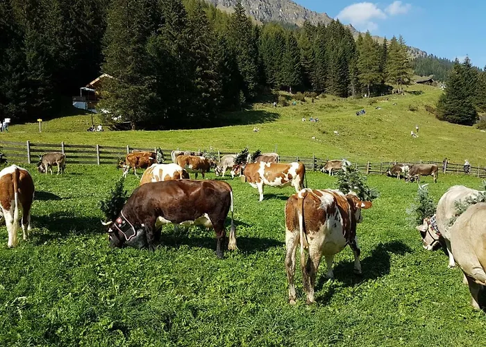 Eberl's Zirbenlodge Appartamento