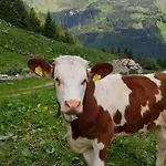 Lägenhet Eberl's Zirbenlodge *