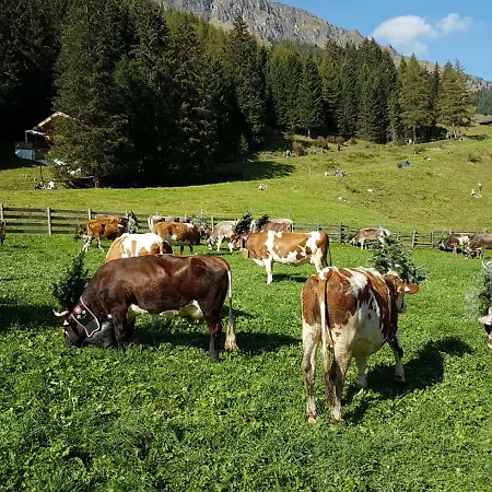 Eberl's Zirbenlodge Апартаменты