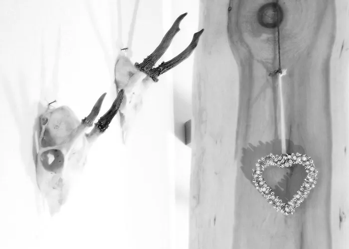 Eberl's Zirbenlodge * 金兹灵