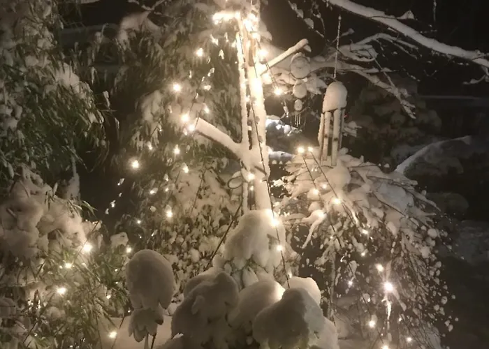 公寓 Eberl's Zirbenlodge 金兹灵