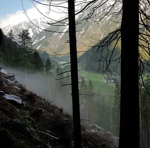 公寓 Eberl's Zirbenlodge 金兹灵