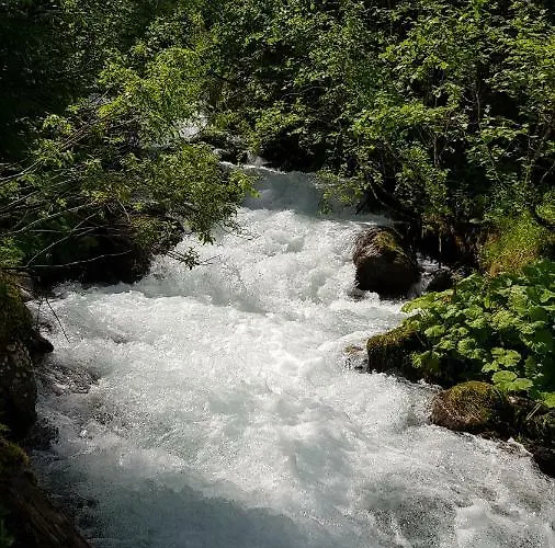 Eberl's Zirbenlodge 公寓 *