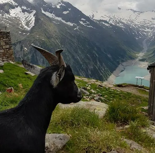 公寓 Eberl's Zirbenlodge