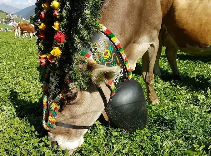 Eberl's Zirbenlodge 公寓 *